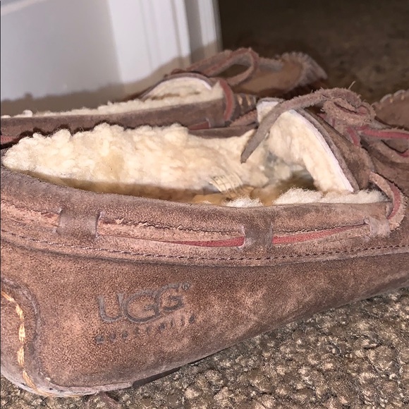 DAKOTA SLIPPERS - UGG - Picture 3 of 3